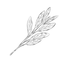 Ernährungsplan aus der Beratung Linz