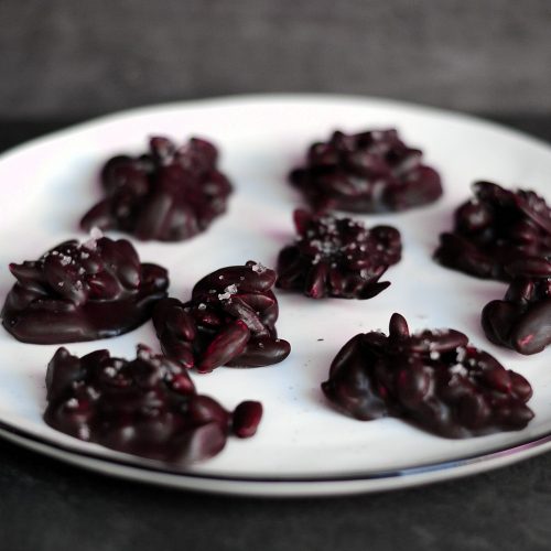 Darmgesundheit TCM Linz Beratung